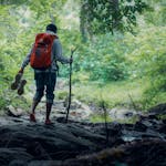 An adventurous hiker walks barefoot through a green forest in Kerala, India, exploring nature with a backpack and walking stick.